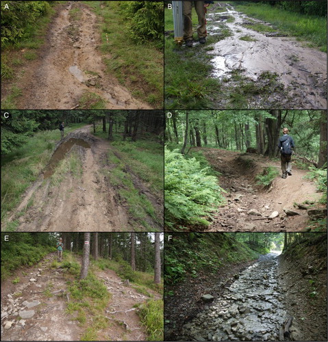 Figure 2. Examples of trail degradation, the PLP: A – erosional rill along the trail tread; B – deposition of material due to improper trail drainage; C – muddy section and water puddle; D – erosional gully with exposed rocks. Due to uncomfortable and even dangerous walking condition, visitors created an informal path next to the designated trail; E – exposed roots and rocks on the too-steep section of the trail, forcing visitors to trample trail sides, thereby creating informal trails; F – deep erosional gully reaching bedrock.