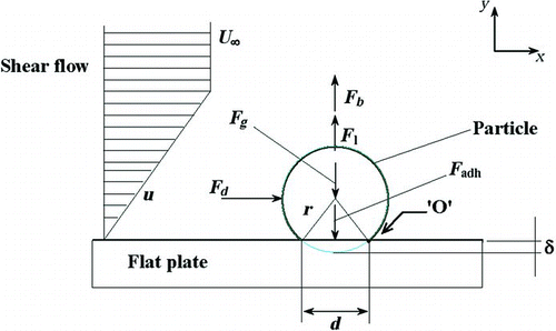 FIG. 4 Different forces acting on a particle resting on a flat surface and exposed to a shear flow. Point O is the fulcrum of rolling. (Abd-Elhady et al. Citation2010).