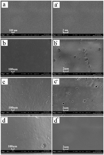 Figure 3. SEM micrographs 1-naphthol loaded CTS film: (a, a′) before the release test and after the release tests (b, b′) pH 6.84, (c, c′) pH 2.59 and (d, d′) pH 11.02.