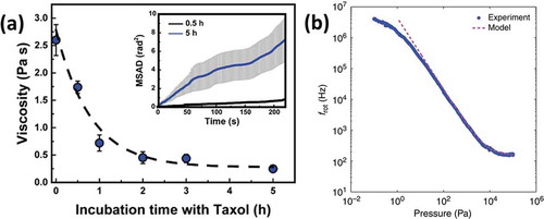 Figure 7. Microrheology and pressure measurement with rotating particles