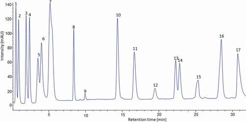 Figure 2. HPLC chromatogram of the amino acid standard mixture. Peaks: 1, aspartic acid; 2, glutamic acid; 3, hydroxyproline; 4, serine; 5, glycine; 6, histidine; 7, arginine; 8, threonine; 9, alanine; 10, proline; 11, tyrosine; 12, valine; 13, methionine; 14, isoleucine; 15, leucine; 16, phenylalanine; 17, lysine.Figura 2. Cromatograma de HPLC de la mezcla estándar de aminoácidos. Picos: 1, ácido aspártico; 2, ácido glutámico; 3, hidroxiprolina; 4, serina; 5, glicina; 6, histidina; 7, arginina; 8, treonina; 9, alanina; 10, prolina; 11, tirosina; 12, valina; 13, metionina; 14, isoleucina; 15, leucina; 16, fenilalanina; 17, lisina