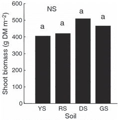 Figure 5 Biomass of the shoots of hairy vetch grown in four different soils in Experiment 3. YS, yellow soil; RS, red soil; DS, dark red soil; GS: gray soil; DM, dry matter. Columns with the same letter are not significantly different (NS) at P < 0.05.