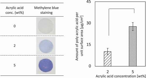 Figure 1. (a) Methylene blue staining. (b) The amount of grafted poly(acrylic acid) on PE mesh (n = 5). *p < 0.01