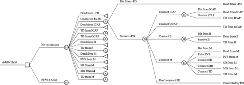 Figure 1. Markov model diagram. Abbreviations: B = bacteremia; ICAP = inpatient community-acquired pneumonia; M = meningitis; MD = moderate disability; OCAP = outpatient community-acquired pneumonia; PCV13 Adult = 13-valent pneumococcal conjugate vaccine for adults; PD = pneumococcal disease; PVS = persistent vegetative state; SD = severe disability; TD = temporary disability