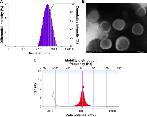 Figure S1 Characterization of Lipo-Ir.Notes: (A) Size distribution, (B) TEM image, and (C) zeta potential.Abbreviations: Ir, iridium; Lipo-Ir, Ir-loaded PEGylated liposomes; PEG, polyethylene glycol; TEM, transmission electron microscopy.