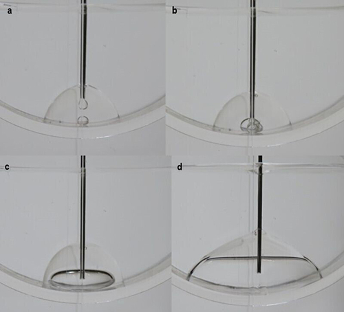 Figure 2 Moving the SO bubble after the PFCL injection. (a) PFCL injection into the adhered SO bubble. PFCL bubbles sank through the adhered SO bubble. (b) Injected PFCL gradually moved underneath the SO bubble. (c) Subsequently, the immiscible droplet was gradually created (upper: SO, lower: PFCL). (d) The enlarged immiscible droplet then released the SO bubble upward.