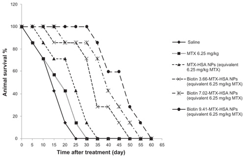 Figure 3 Animal survival study. The 4T1 tumor-bearing mice were treated with free MTX, MTX-HSA NPs, biotin 3.66-MTX-HSA NPs, biotin 7.02-MTX-HSA NPs, and biotin 9.41-MTX-HSA NPs. The drugs were injected intravenously in a single dose (day 0). The doses were equivalent to 12.5 mg/kg of free MTX. The curve shows the number of 4T1 tumor-bearing mice still alive on different days.Abbreviations: MTX, methotrexate; MTX-HSA NP, methotrexate–human serum albumin conjugated nanoparticle; biotin 3.66-MTX-HSA NPs, biotin targeted methotrexate–human serum albumin nanoparticles: 3.66 ± 0.22 biotin/human serum albumin molar ratio; biotin 7.02-MTX-HSA NPs, biotin targeted methotrexate–human serum albumin nanoparticles: 7.01 ± 0.14 biotin/human serum albumin molar ratios; biotin 9.41-MTX-HSA NPs, biotin targeted methotrexate–human serum albumin nanoparticles: 9.41 ± 0.34 biotin/human serum albumin molar ratio.