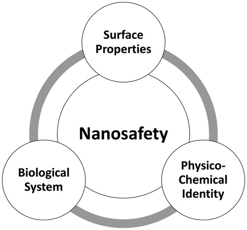 Figure 1. Nanosafety. Together with the biological system, the surface properties and physicochemical identity define the toxic potential of any engineered nanoparticle.  