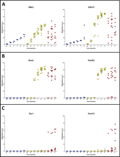 Figure 3. Patterns of DNA methylation accumulation included (A) Type A methylation that accumulated with age but was accelerated by mutation of Braf, (B) Type B methylation changes specific to Braf mutant tissue and (C) Type C methylation changes specific to murine serrated adenomas and/or cancers.