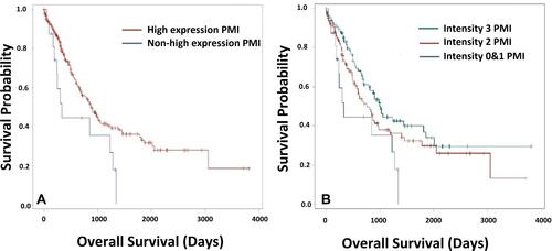 Figure 2 Overall survival of PDAC patients with various PMI expression. (A) Overall survival between PMI high expression (intensity 2 and 3) and non-high expression group (intensity 0 and 1) (Kaplan-Meier curve). The result emphasizes that PMI high expression is significantly associated with improved survival (p=0.03). (B) Overall survival among 3-level PMI intensity including non-high-expression PMI group (intensity 0 and 1), moderate expression of PMI (intensity 2) and high expression PMI (intensity 3). Kaplan-Meier curve analysis revealed a direct significant correlation (p=0.03).
