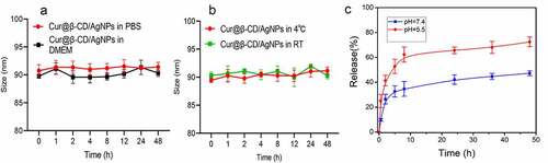 Figure 2. Results of cumulative curcumin release study. (a) Dynamic monitoring the size change of Cur@β-CD/AgNPs in PBS or DMEM (10% FBS) for 48 h. (b) Dynamic monitoring the size change of Cur@β-CD/AgNPs at 4°C or room temperature for 48 h. (c) Results of curcumin release from CUR@β-CD/AgNPs.
