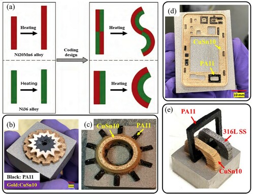Figure 25. LPBF-printed multi-material parts with potential applications in 4D printing, powertrain transfer systems, and communication equipment: (a) smart multi-material structures of Ni20Mn6/Ni36 (Shi et al. Citation2020), (b) hybrid CuSn10/PA11 gear, (c) CuSn10/PA11 turbine blades, (d) a CuSn10/PA11 mobile phone back housing, and (e) a 316L SS/CuSn10/PA11 interlocking ring (Chueh, Zhang et al. Citation2020).