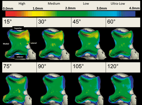 Figure 4. Proximity maps for the ulna throughout elbow flexion. Anterior view of the ulna showing the regions of close proximity (less than 4 mm).