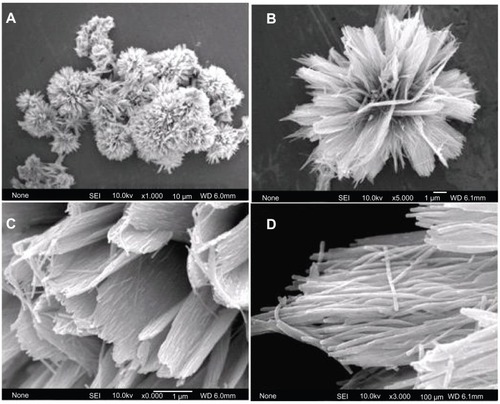 Figure 1 Field emission scanning electron microscopy images of hierarchically nanostructured hydroxyapatite (sample 1).