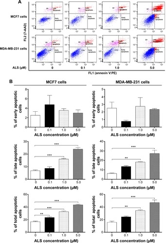 Figure 6 ALS induced apoptotic death in MCF7 and MDA-MB-231 cells in a concentration-dependent manner.