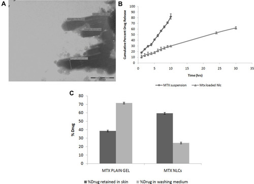 Figure 4 (A) TEM of the MTXNLCs; (B) cumulative percent drug release of methotrexate in phosphate buffer pH 7.4; (C) in vitro skin deposition study of MTX plain gel and NLCs.