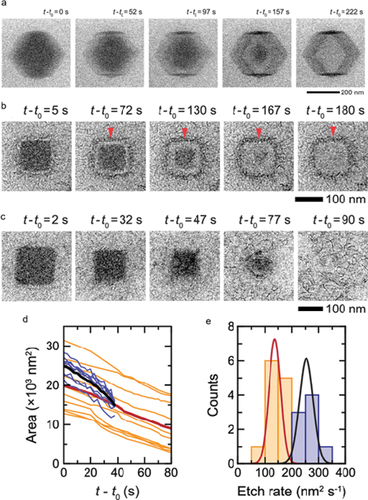 Figure 7. (a) Time series of in-situ liquid-phase TEM images showing the room-temperature conversion of a ZIF-8 rhombic dodecahedron nanoparticle in a 5 mg ml−1 Co(NO3)2 solution with ethanol-water solvent (VEtOH/VH2O = 0.5). Time series of in situ liquid-phase TEM images showing the room-temperature conversion/etching of a ZIF-8 nanocube into an LDH nanocage in (b) a 5 mg mL−1 Co(NO3)2 solution and (c) a 10 mg mL−1 Co(NO3)2 solution with ethanol-water solvent (VEtOH/VH2O = 0.5), respectively. (d) Projected area of ZIF-8 nanocube cores as a function of time at 5 mg mL−1 (Orange) and 10 mg mL−1 (blue) Co(NO3)2 concentrations. (e) Distribution of the etch rates at which the projected area of the cores decreases for a total of 20 ZIF-8 nanocubes in 5 mg mL−1 (Orange) and 10 mg mL−1 (blue) Co(NO3)2 solutions. (reproduced from ref.139).