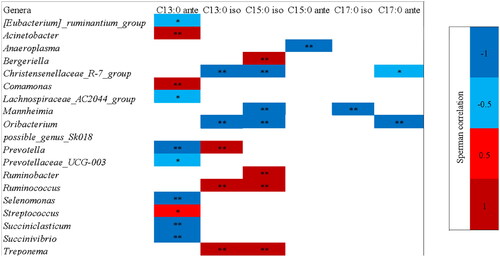 Figure 2. Correlations between odd-branched chain fatty acids and Genera in microbiota from rumen liquor fermented with the control feed without olive tree leaves (CONL) or the treated feed with olive tree leaves (OTLF). Positive correlation is indicated in red and negative correlation is indicated in blue (* for -0.5 < p < 0.5; ** for P < -0.5 and p > 0.5). Only Genera with a relative abundance > 0.1% were correlated.