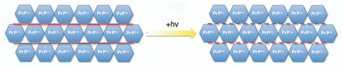 Figure 1 Selective photodegradation of an incorporated polyanion in situ.