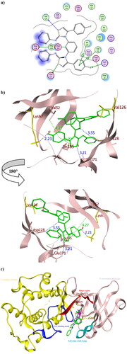 Figure 11. The 2D and 3D representations of molecular interactions of 8b (a, b) as green stick model with Pim-1 kinase using PDB 4DTK where the conserved Lys67 at the active site and Val126 were highlighted as yellow stick model. The 3D representations highlighted the formed hydrogen bonds and H-pi interactions as blue and green dotted lines, respectively with their corresponding distance in Å. The position of the suggested orientation of 8b relative to the co-crystallised ligand 7LI was illustrated inside the full kinase protein structure in (c) mentioning the important kinase fragments.