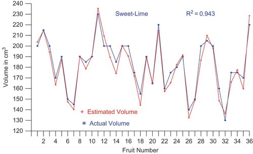 FIGURE 4(b) Comparison of estimated and actual volume of sweet-limes.