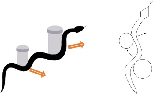 Figure 1. A simple schematic of the obstacle-aided locomotion.