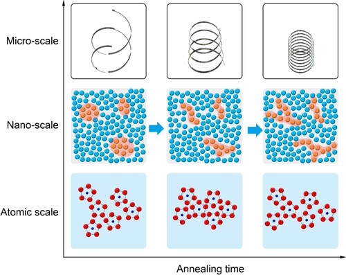 Figure 4. Schematic diagram of structural evolution from atomic to nanoscale for samples annealed at 0.8 Tg based on the FU model.