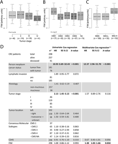 Figure 6. Cox regression analysis and FIM in CRC patients.(A) FIM distribution in tumors according to the tumor stage, (B) in tumors classified according to consensus molecular subtypes (CMS), and (C) in MSS, MSI-L and MSI-H tumors. Boxplot shows median (bold line), 1st and 3rd quartiles as boxes ± 1.5 interquartile ranges as whiskers. (D) Univariate (left) and multivariate Cox regression analyses based on Akaike information criterion (AIC, right) for overall survival using: person neoplasm cancer status, lymphatic invasion, histology, tumor stage, tumor location, CMS, CD45 expression, and FIM. HR = hazard ratio; CI = 95% confidence interval. NA = not assigned. * Data from 298 patients were included in the univariate Cox regression analysis. In case a lower patient number was listed for a certain parameter, clinical data for the missing patients were not available. ** Multivariate Cox regression analysis was performed only on patients with complete data (n = 225).