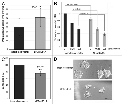 Figure 6. The PERK-eIF2α phosphorylation pathway mediates the proliferative potential and growth-promoting signaling in human CML cells. (A) Population doubling time (PD) of K562 cells stably expressing control vector or eIF2α-S51A mutant. PD is shown as mean ± SEM from six independent experiments. *, p < 0.05 vs. cells transfected with the control vector, by Student’s t-test. (B–D) Clonal expansion of K562 cells expressing eIF2α-S51A mutant. (B) Clonogenic activity of cells cultured in methylcelulose medium without or with imatinib. Data were calculated relatively to untreated cells expressing the control vector. (C) Clone size (diameter) was calculated relatively to control. *, p < 0.05; **, p < 0.005 vs. cells transfected with the insertless vector, by t-Student test. (D) Picture of clones in control cells and cells expressing eIF2α-S51A mutant.