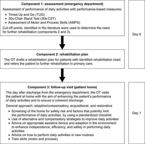 Figure 1 Overview of the Elderly Activity Performance Intervention.