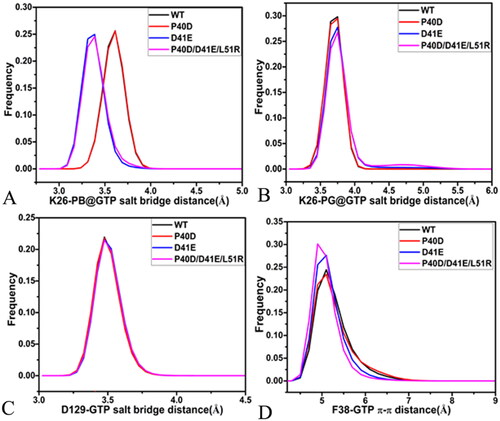 Figure 9. The salt bridge interactions and the π–π interaction of GTP with M-RAS: (A) the frequency distribution of the distance between NZ and PB for the salt bridge interaction of GTP with K26, (D) the frequency distribution of the distance between NZ and PG for the salt bridge interaction of GTP with K26, (C) the frequency distribution of the distance for the salt bridge between D129 and GTP and (D) the frequency distribution of the distance for the π-π interaction of F28 with GTP.