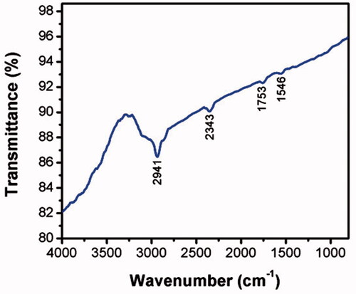 Figure 3. Fourier transforms infrared (FTIR) spectroscopy analysis of gold nanoparticles (AuNPs) synthesized from Marsdenia tenacissima.