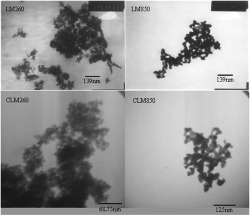 Figure 4. TEM micrographs of Ce–La–Mn mixed oxides.