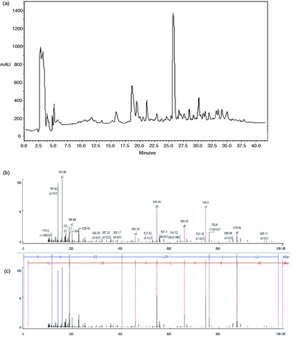 Figure 1. (a) Semi-preparation of OEWPH on C8 column (10 × 250 mm). Nearly 15 mg of OEWPH was dissolved in solvent A (water containing 0.1 % TFA) and was injected on the column. By monitoring the absorbance at 214 nm, the elution was accomplished at a flow rate of 2 ml/min using a linear gradient of acetonitrile as solvent B (5–45 % for 40 min). The major peak which appeared in the 26th min was picked out to be identified by tandem mass sequencing. The axis Y indicates milli-absorbance unit (mAU). (b) Identification of the molecular mass and amino acid sequence of the major peak of HPLC peptide using MALDI-TOF (matrix-assisted laser desorption/ionization-time of flight) spectrometer. MS/MS spectra of the major peak and the interpretation of the obtained spectrum (c).