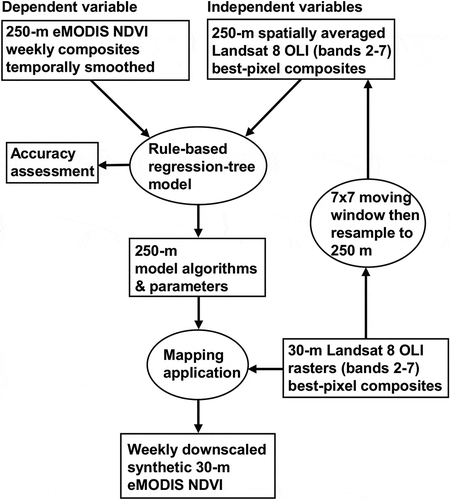 Figure 3. A schematic that identifies the data and illustrates the process to downscale 250-m eMODIS NDVI using Landsat 8 Operational Land Imager (OLI) data.