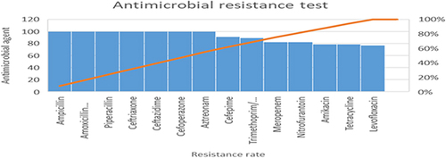 Figure 1 Antibacterial resistance pattern of K. pneumoniae isolates.
