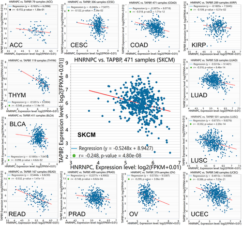 Figure 3. Inverse correlation of hnRNP C and tpn expression in different cancer types.