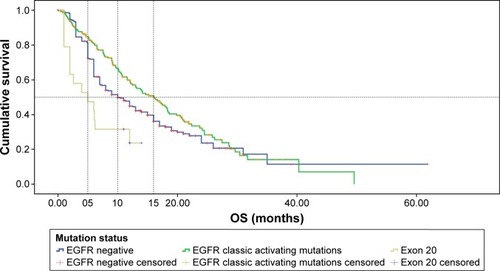 Figure 1 Graph of survival in different types of exon 20-mutated patients.