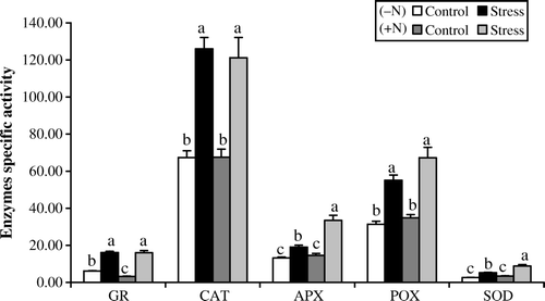 Figure 4.  Changes in GR, CAT, APX, POX and SOD [Unit mg−1 protein] specific activity in Azolla plants exposed to 50 mM NaCl for 10 days in absence of nitrate (−N) or in its presence (+N). Each value is the mean±S.E. of five replicates. Different letters indicate significant differences (P<0.05) between treatments as evaluated by Duncan's multiple comparison test.