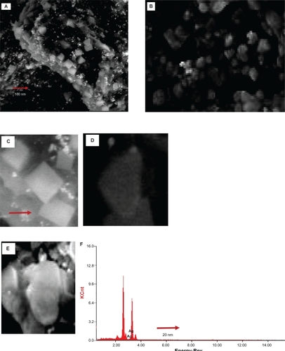 Figure 3 SEM images of the silver nanoparticles after bioreduction of AgNO3 with Memecylon edule leaf extract. 100 nm (A), 50 nm (B), SEM images of silver nanoparticles with corresponding (SAED) selected area electron diffraction patterns showing square-shaped crystals (C), irregular-shaped particle (D), and triangular-shaped particle in 20 nm (E). EDAX profile of silver nanoparticles resulting from the experiment by using the 15 mL of M. edule extract. (F).Abbreviations: SAED, selected area electron diffraction; EDAX, energy dispersive X-ray.