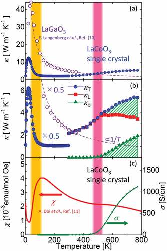 Figure 2. (a) Temperature dependence of the thermal conductivity for single-crystalline LaCoO3 and LaGaO3. The data for LaGaO3 are reproduced from Ref [Citation10]. (b) Magnified view of panel (a) including a breakdown of the total thermal conductivity (κT) into its lattice (κL) and electronic (κel) contributions. The data for LaCoO3 below 300 K and for LaGaO3 are multiplied by 0.5 for a better visibility. The purple dashed line is a fit of the LaGaO3 thermal conductivity to 1/T. (c) Temperature dependence of magnetic susceptibility and electrical conductivity of LaCoO3. Magnetic susceptibility and electrical conductivity below 300 K are reproduced from Ref [Citation11]. The orange shading indicates the temperature range where a spin-state crossover takes place as indicated by a rapid increase of the magnetic susceptibility. The pink shading indicates the temperature range where an insulator-metal crossover takes place.