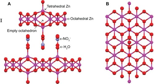 Figure 4 Structures of zinc hydroxide nitrate.Notes: (A) Side view and (B) top view. Reprinted from Arizaga GG, Satyanarayana KG, Wypych F. Layered hydroxide salts: synthesis, properties and potential applications. Solid State Ionics. 2007;178:1143–1162, Copyright 2007, with permission from Elsevier.Citation11