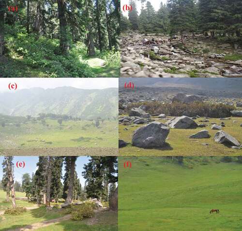 Figure 2. Different types of habitats in the Gulmarg Wildlife Sanctuary.