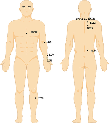 Figure 2 Common acupuncture points and their locations.