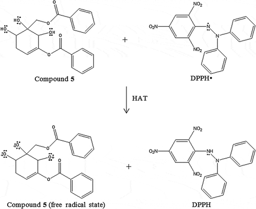 Figure 8. The proposed chemical reaction of zeylenol (5) in antioxidant assay DPPH via HAT mechanism.