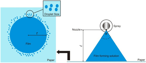 Figure 4 Measurement of spray angle and observation of spray patterns.