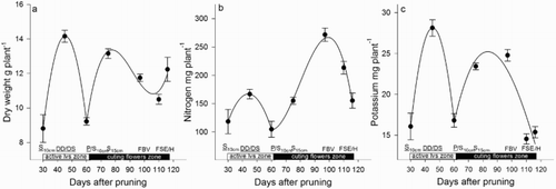 Figure 2. Dry weight (a), N (b) and K (c) accumulated in the roots of roses during the development of the zone of active leaves and zone of cutting flowers, including the harvest. DD = debudding of the active leaves zone, DS = deshooting of the active leaves zone, P = pinch of the active leaves zone, S10 cm = shoots of the cutting flowers zone with 10 cm length, S15 cm = shoots of the cutting flowers zone with 15 cm length, FBV = flower buds visible in the cutting flowers zone, FSE = flower stem elongation in the cutting flowers zone, H = harvest of flower. Bars represent the standard error of the mean (n = 5).