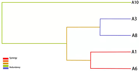 Figure 1 Tree diagram of the best genotype models. The distance between single nucleotide polymorphisms (SNPs) indicates the intensity of the interactions. The color indicates the type of interactions. Red, orange, and green denote strong, moderate and weak interactions, respectively. A1: rs7656411; A3: rs7682814; A6: rs1927914; A8: rs2563298; A10: rs2569191.
