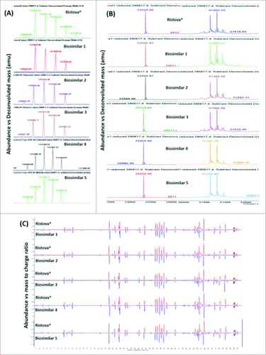 Figure 1. Comparison of deconvoluted ESI-TOF mass spectra for (A) intact and (B) reduced (LC – light chain, HC – heavy chain) Rituximab biosimilars and Ristova®, (C) Total compound chromatogram (TCC) mirror plots of peptide mapping for reduced Rituximab biosimilars (lower) and Ristova® (upper) obtained from ESI-TOF mass spectra upon trypsin digestion.