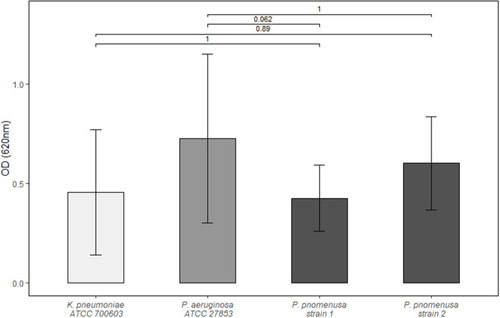 Figure 2 Quantitative biofilm assay. Blank wells containing Müller-Hinton-broth were used to determine background optical density (OD). Each bar represents the arithmetic mean of independent triplicates with at least four measurements each. Standard deviation is depicted as whiskers. Represented above are the Bonferroni adjusted p-values obtained by t-test.